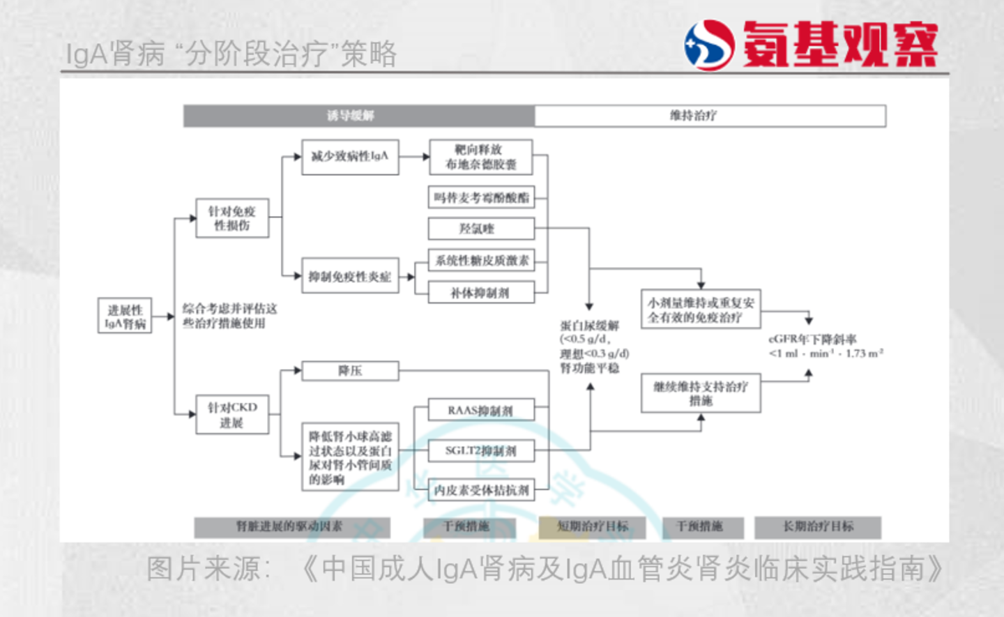  IgA肾病新药，迎来收获期之后