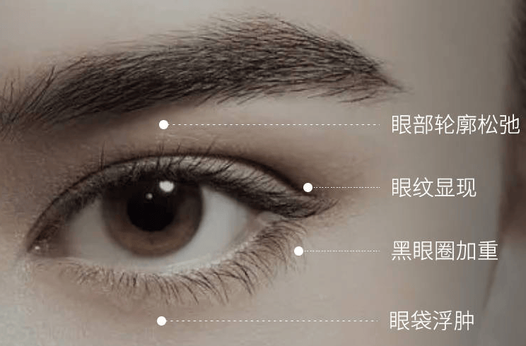 英睿迪融资数千万，刘海靖的美学生意面临三重拷问
