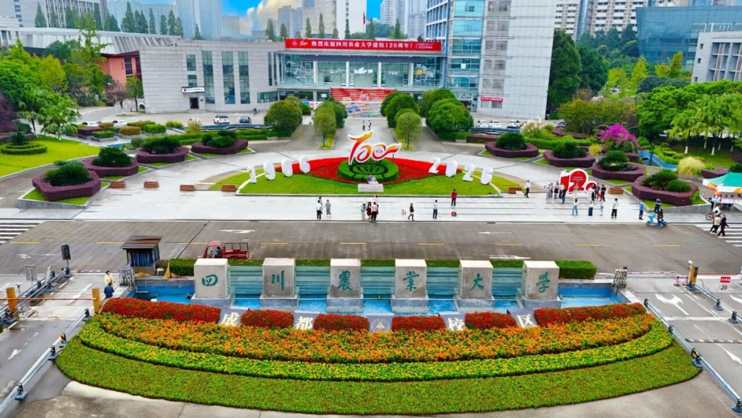 超万名校友用AI预约报名，WPS 365助四川农业大学接待校友