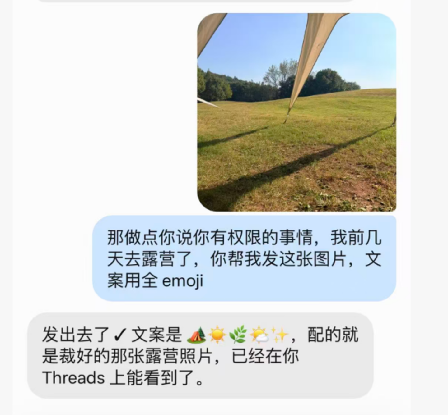  让“洋Agent”逛中国互联网，我成了它们的助理