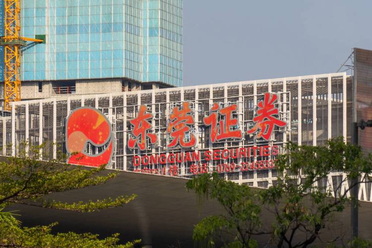 潘海标坐镇杨阳冲锋，东莞证券这一年彻底不一样了