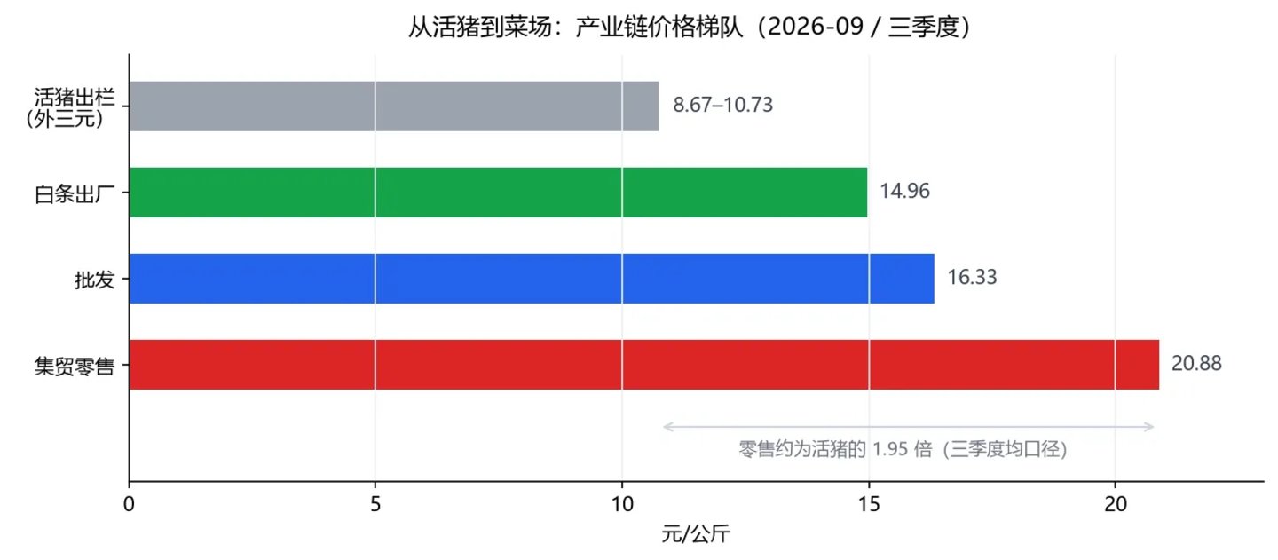 母猪少了,猪价却创八年新低:猪周期"见底"的三个错位 母猪少了,猪价却创八年新低:猪周期"见底"的三个错位