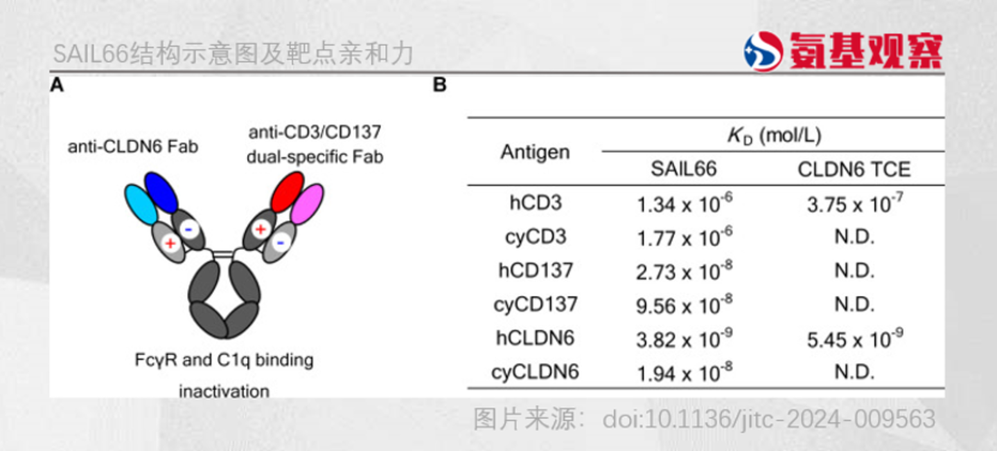三抗缓解率0%,中外制药的意外“走红” 三抗缓解率0%,中外制药的意外“走红”