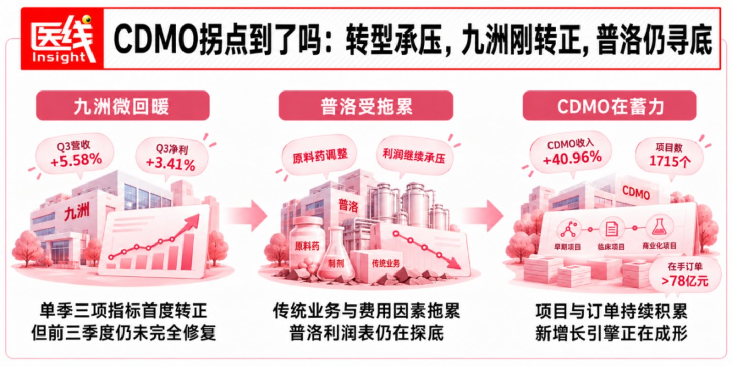 凯莱英、九洲药业、普洛药业:CDMO龙头发布季报,行业拐点已到? 凯莱英、九洲药业、普洛药业:CDMO龙头发布季报,行业拐点已到?