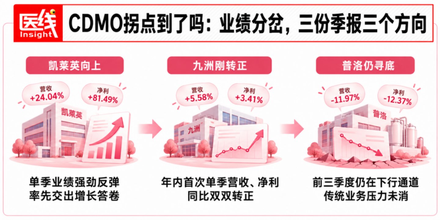  凯莱英、九洲药业、普洛药业：CDMO龙头发布季报，行业拐点已到？