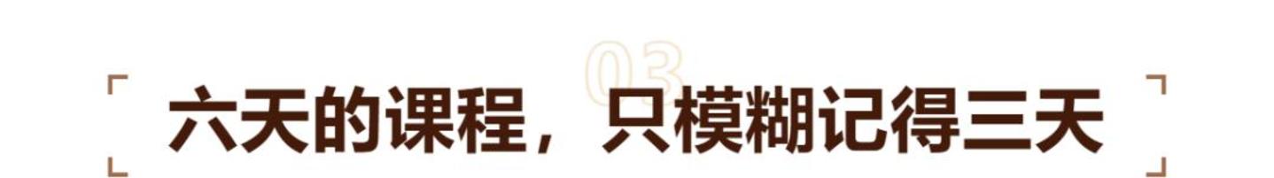  这届中产父母的AI焦虑，标价13800元