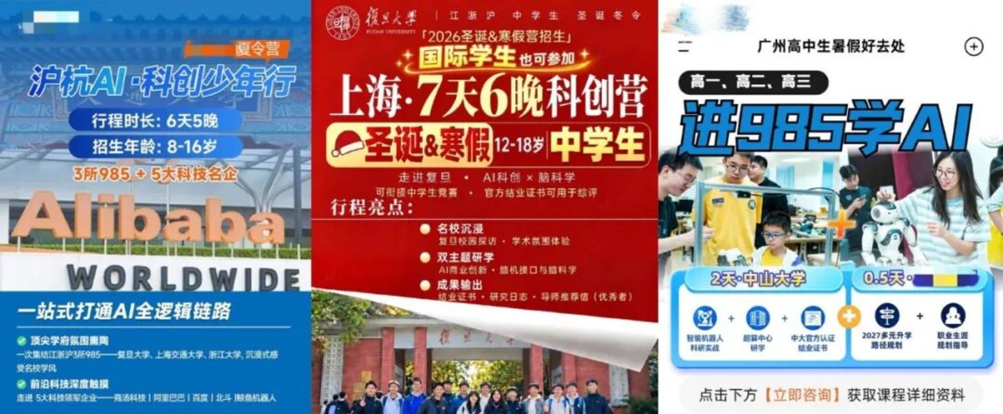  这届中产父母的AI焦虑，标价13800元